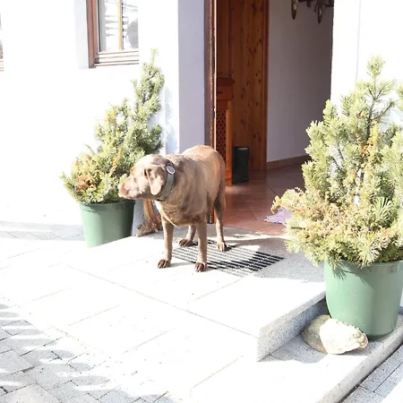 Vakantiehuis Charming In With Barbecue